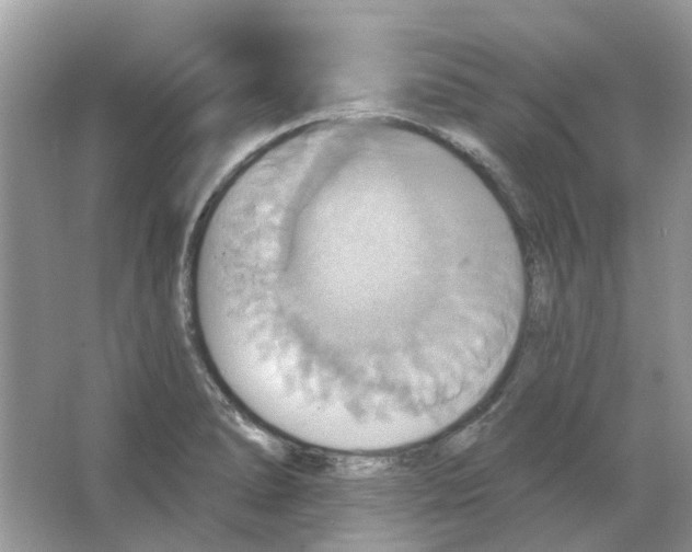 X0000063511278200602172136