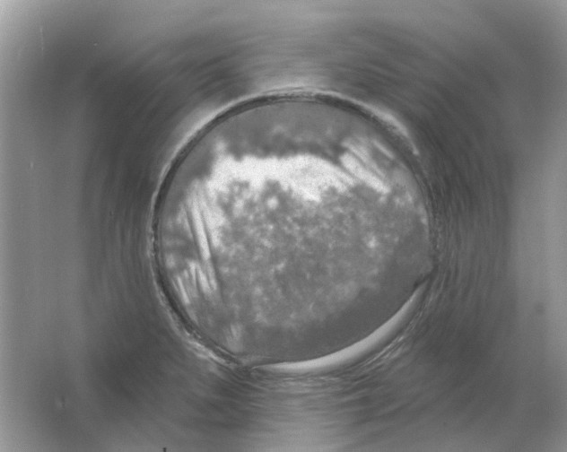 X0000063511279200602172136