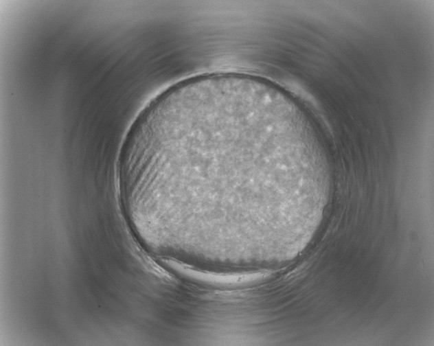 X0000063511280200602172136