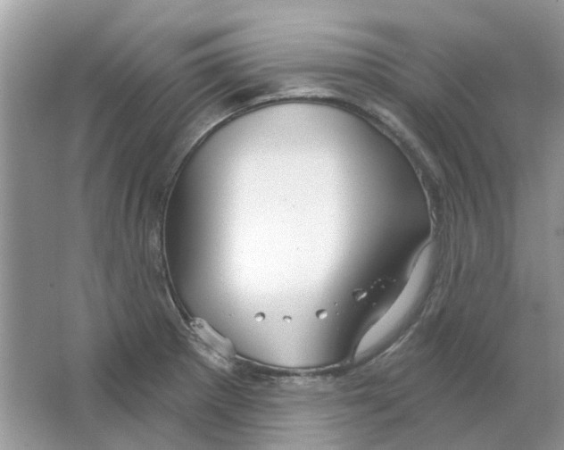 X0000063511281200602172136