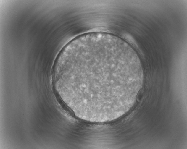 X0000063511284200602172136