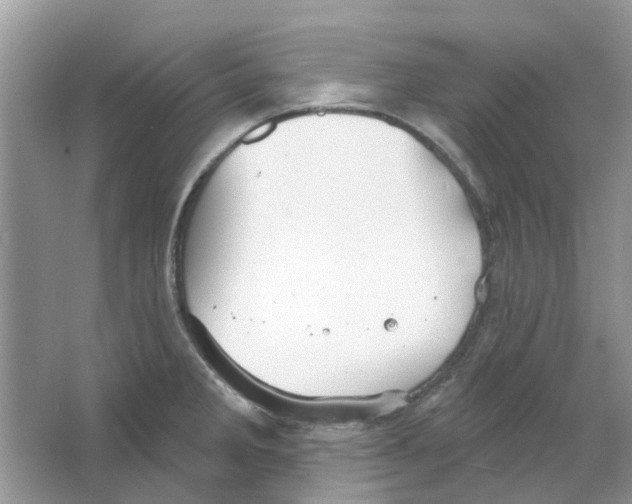 X0000063511285200602172136