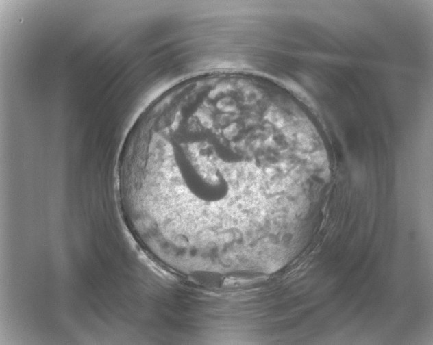 X0000063511287200602172136