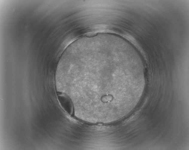 X0000063511289200602172136