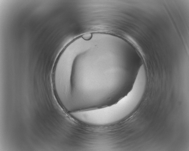 X0000063511291200602172136