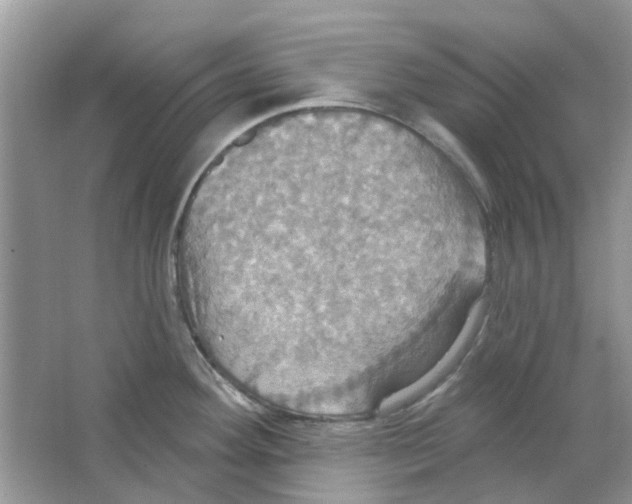 X0000063511292200602172136