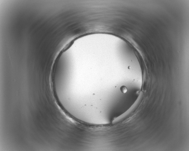 X0000063511293200602172136