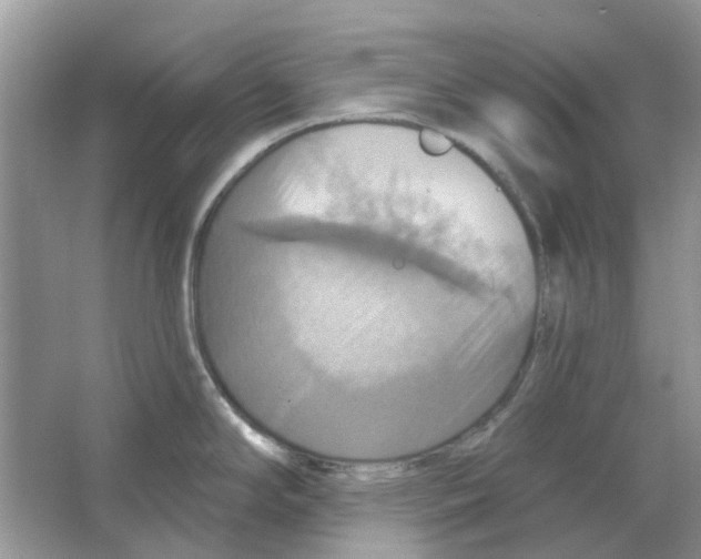 X0000063511294200602172136