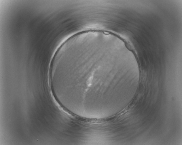 X0000063511295200602172136