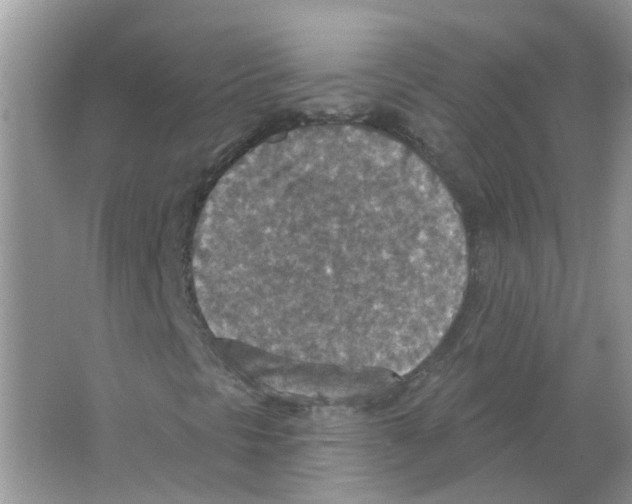 X0000063511297200602172135