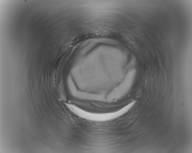 X0000063511298200602172135