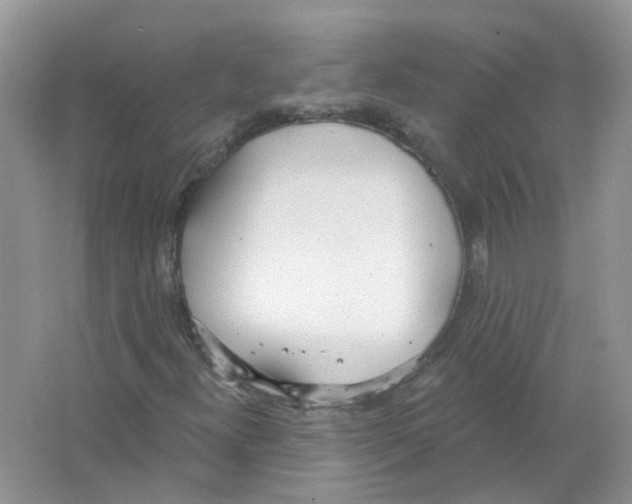 X0000063511300200602172135