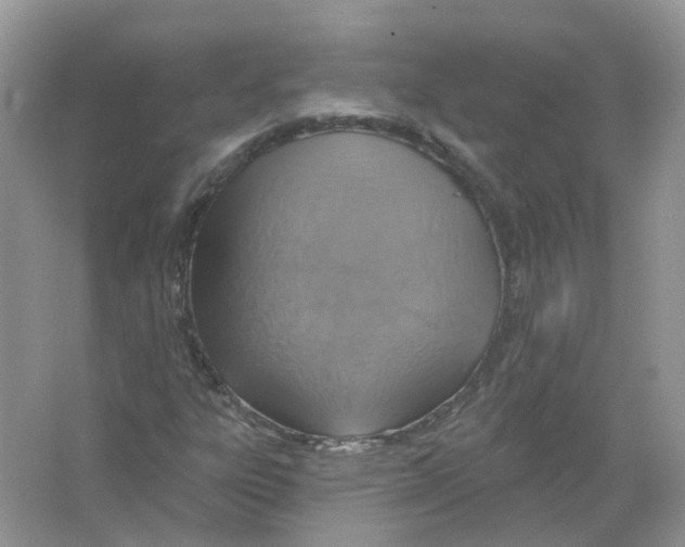 X0000063511303200602172135