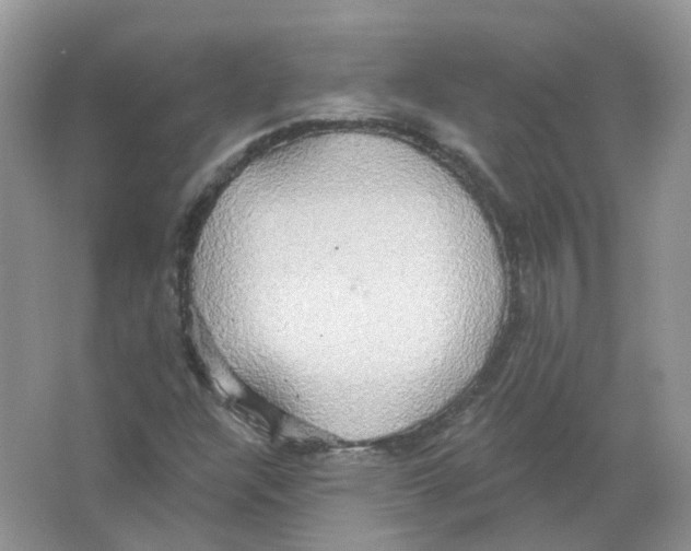 X0000063511304200602172135