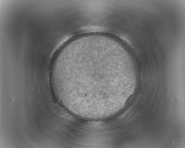 X0000063511309200602172135