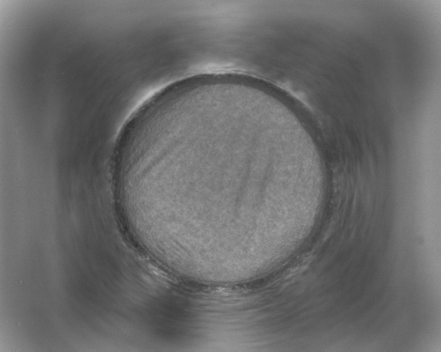 X0000063511311200602172135