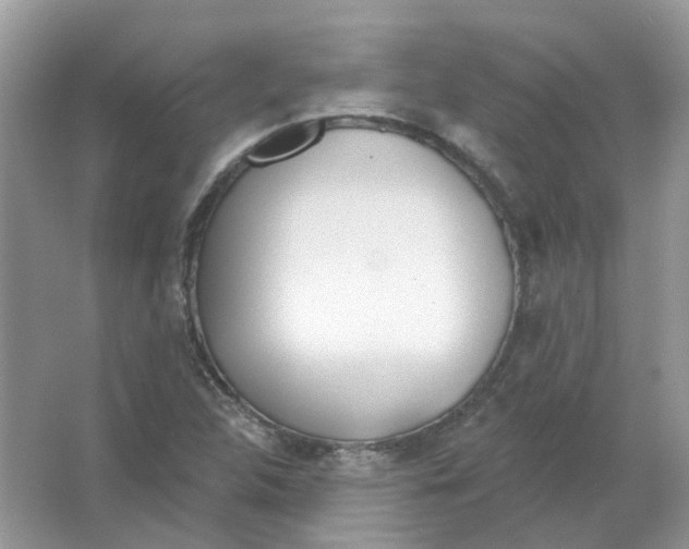 X0000063511312200602172135