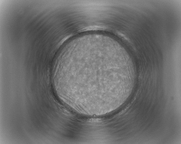 X0000063511313200602172135