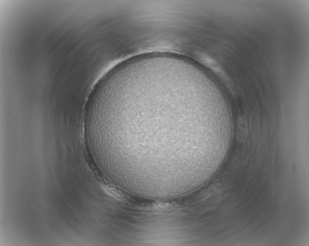 X0000063511316200602172135