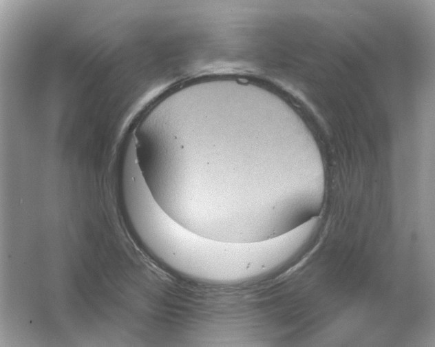 X0000063511317200602172135