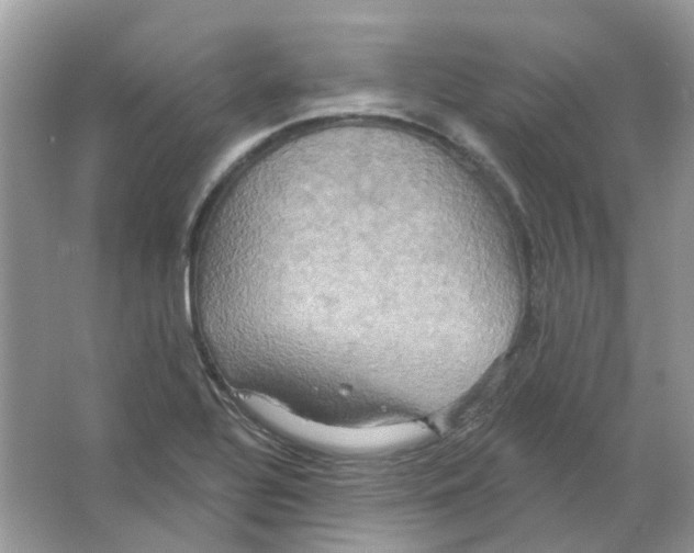 X0000063511320200602172135