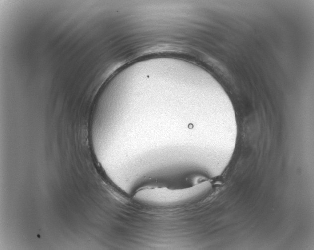 X0000063511321200602172135