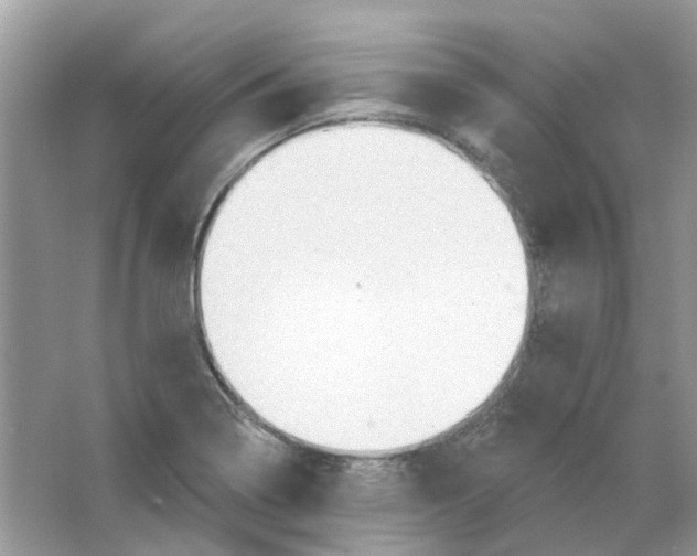 X0000063511322200602172135