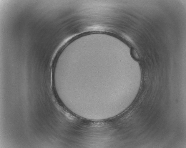 X0000063511323200602172135