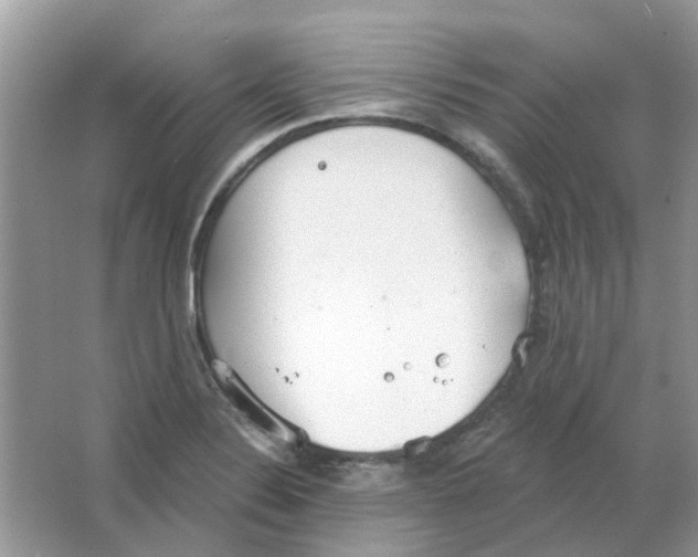 X0000063511324200602172135