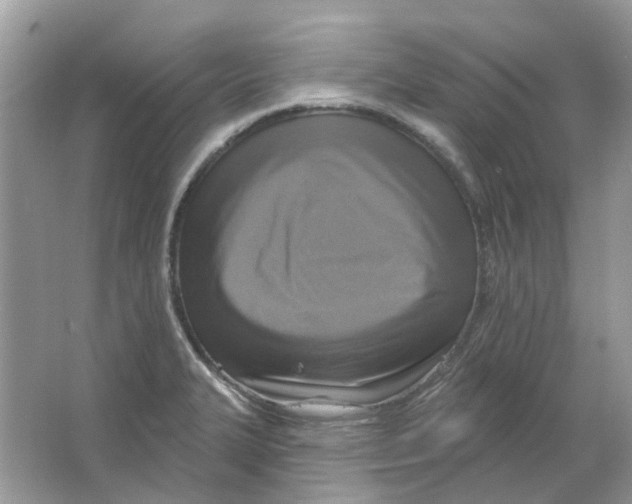 X0000063511327200602172135