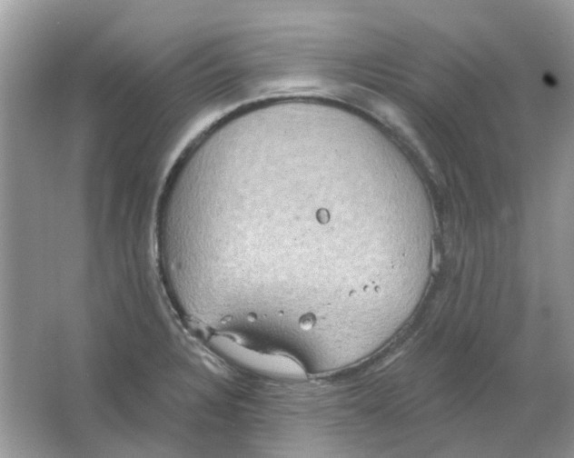 X0000063511328200602172135