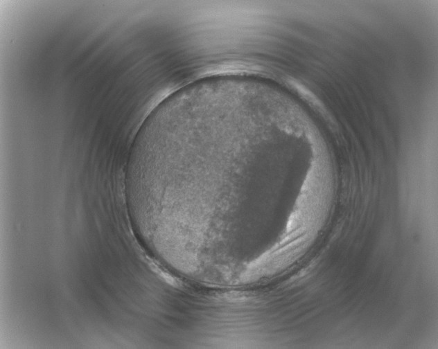 X0000063511329200602172135