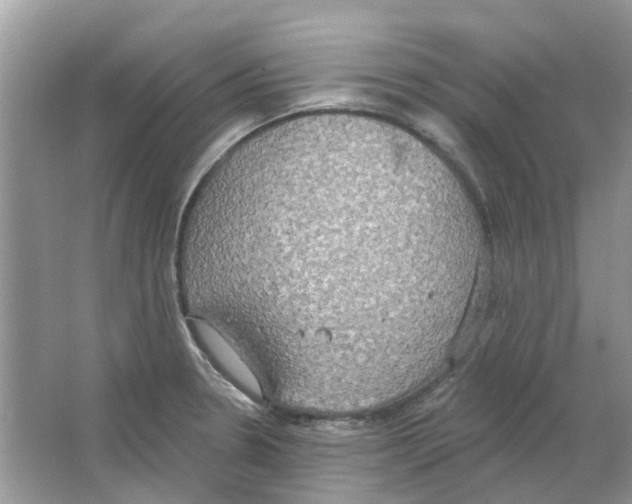 X0000063511330200602172135