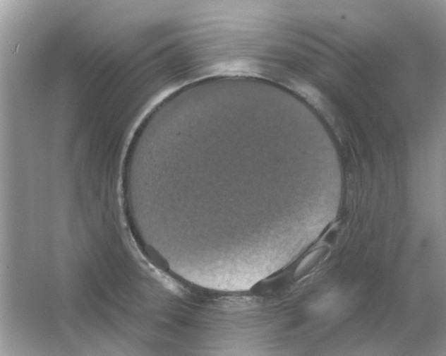 X0000063511331200602172135