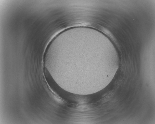 X0000063511332200602172135