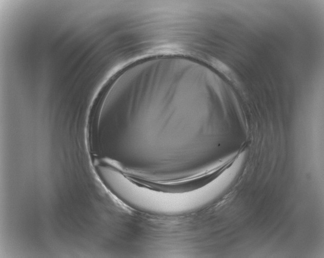 X0000063511334200602172135