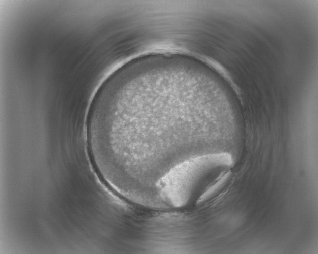 X0000063511335200602172135