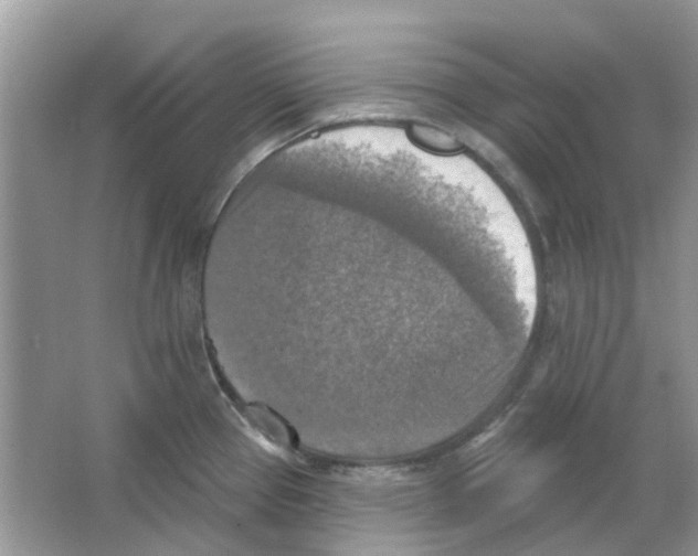 X0000063511337200602172135