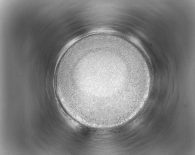 X0000063511338200602172135