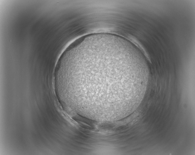 X0000063511340200602172136