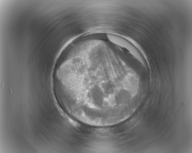 X0000063511341200602172136