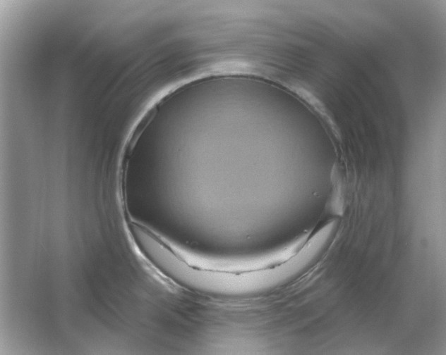 X0000063511342200602172136