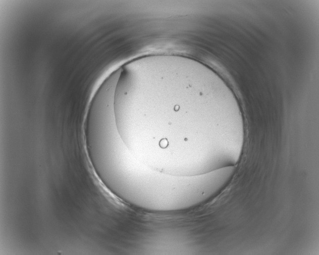 X0000063511344200602172136