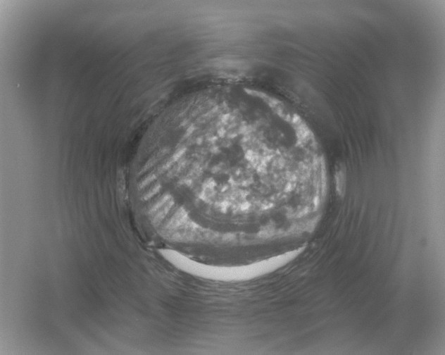 X0000063511347200602172135