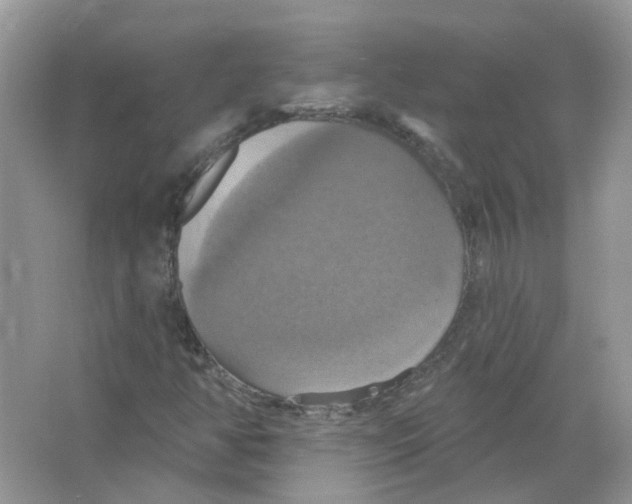 X0000063511350200602172135