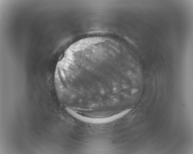 X0000063511351200602172135