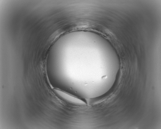 X0000063511353200602172135