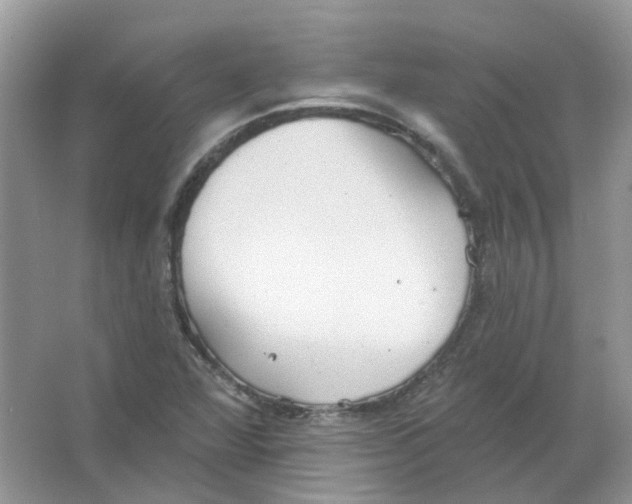 X0000063511360200602172134