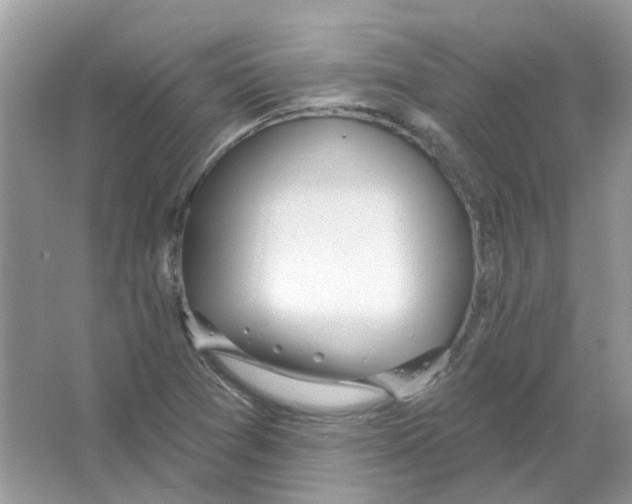 X0000063511361200602172134