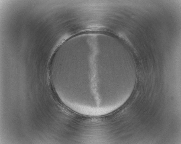 X0000063511362200602172134